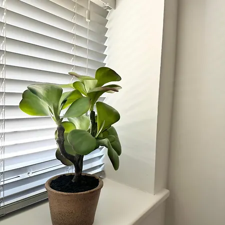 The Wilsons Courtyard, 2 - Bed, Sleeps 4, Pets Welcome