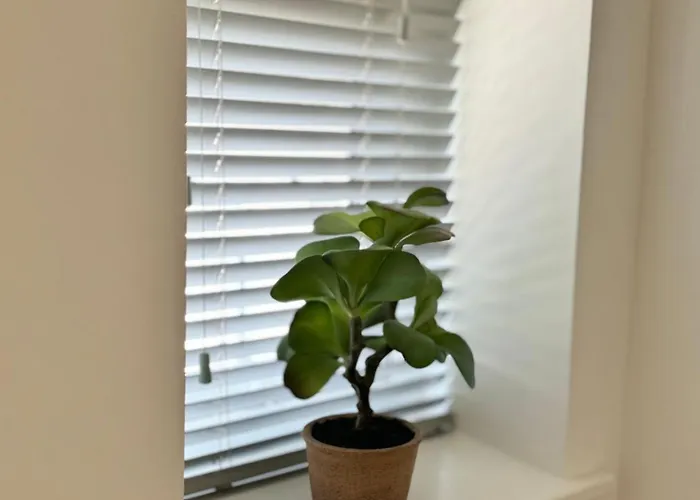 Apartment The Wilsons Courtyard, 2 - Bed, Sleeps 4, Pets Welcome *